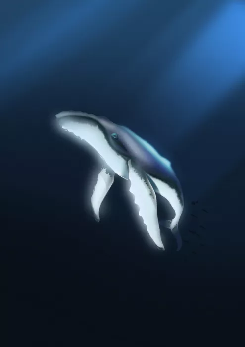 Nicholas: El gigante gentil del océano