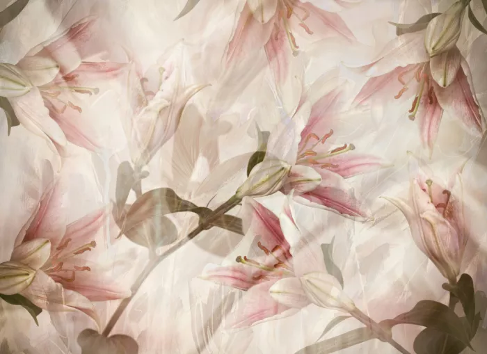 Deelen, van Ellen: Lilies
