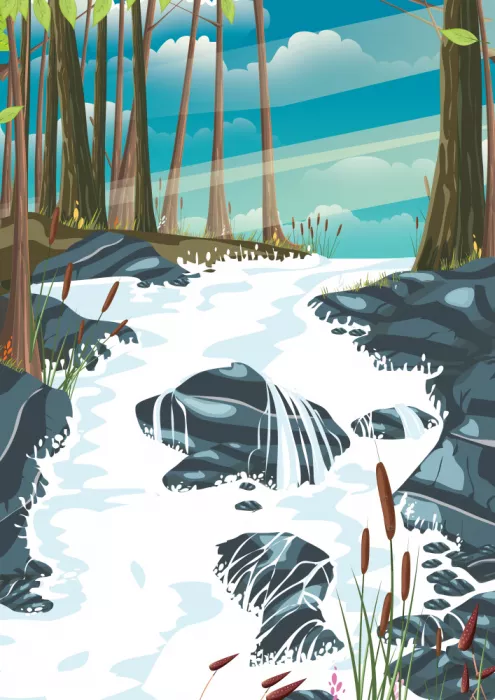 Nicholas: Paesaggio forestale con ruscello scorrente