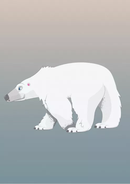 Nicholas: Orso polare