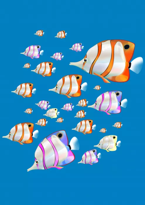 Nicholas: Pesce angelo