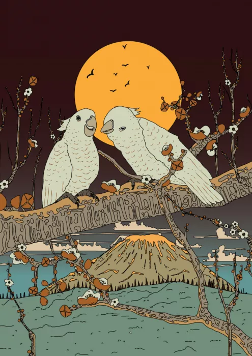 Nicholas: Cacatua giapponesi