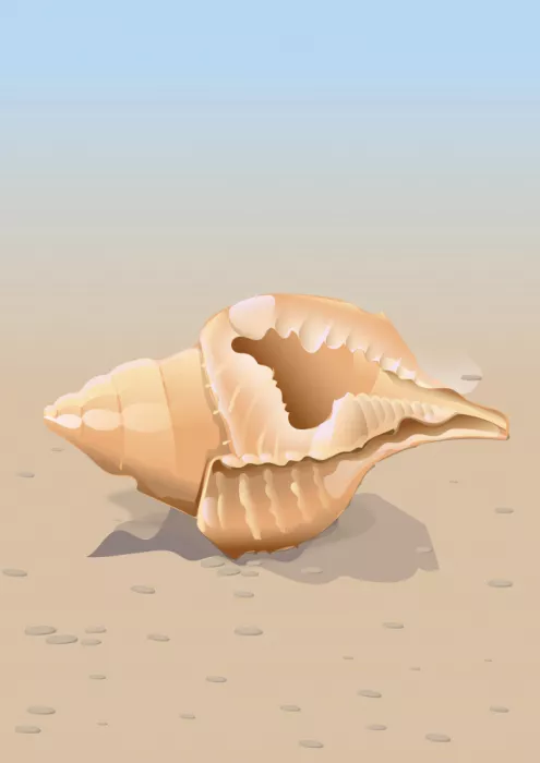 Nicholas: Seaside Shell