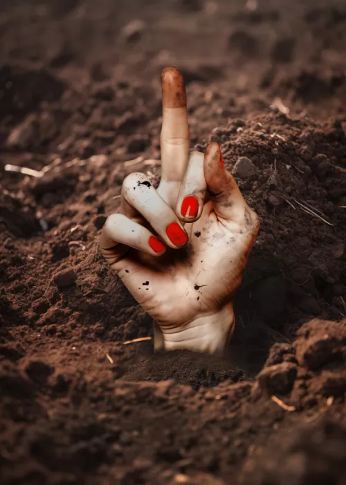 Magnusson, Andreas: Der Finger