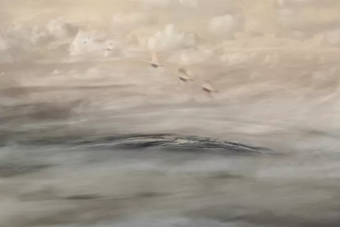 Sillen, Christina: Nebbia argentata