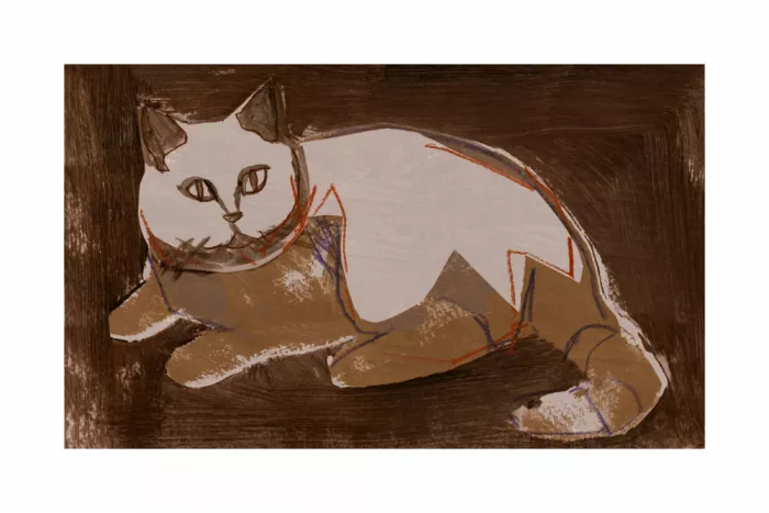 cartissi: Perfectamente Mocha 1