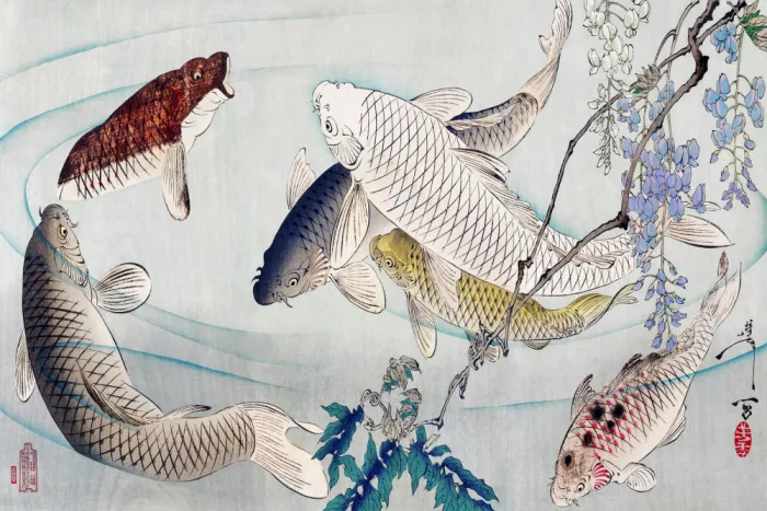 Yoshitoshi, Tsukioka: Six Carp Swimming Beneath Wisteria (1889)
