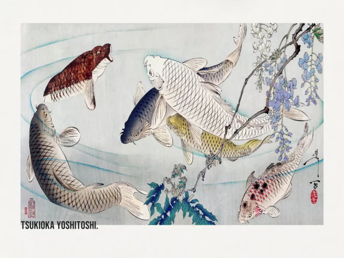 Yoshitoshi, Tsukioka: Six Carp Swimming Beneath Wisteria (1889)
