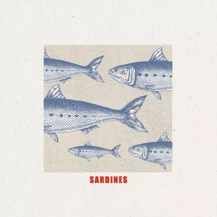 Studio, Miuus The: Blaue Fischharmonie