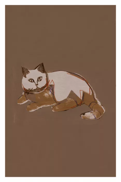 cartissi: Perfectamente Mocha 7