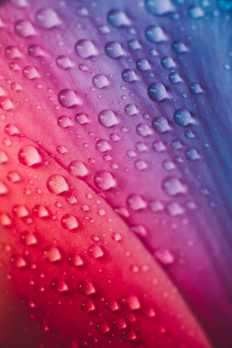 Pardina, Javier: Gotas de agua