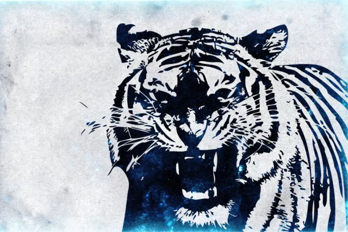 Kulik, Rafal: Tigre 90s 12
