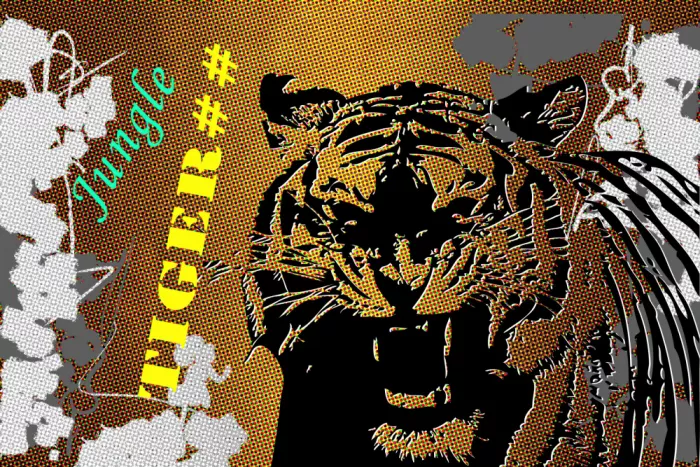 Kulik, Rafal: Tiger 90er 14