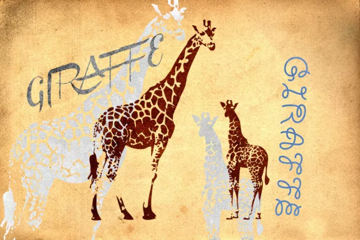 Kulik, Rafal: Giraffen 90er 26