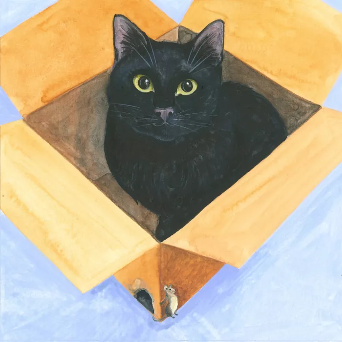 Brent, Isabelle: Katze in der Schachtel