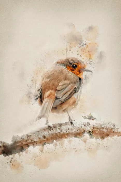 Paraschiv, Ema: The Orange Tit Bird