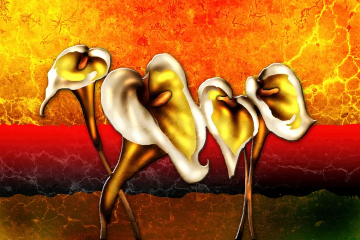 Kulik, Rafal: Warm Abstracts 48