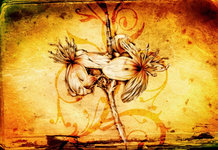 Kulik, Rafal: Sepia Illustration 12