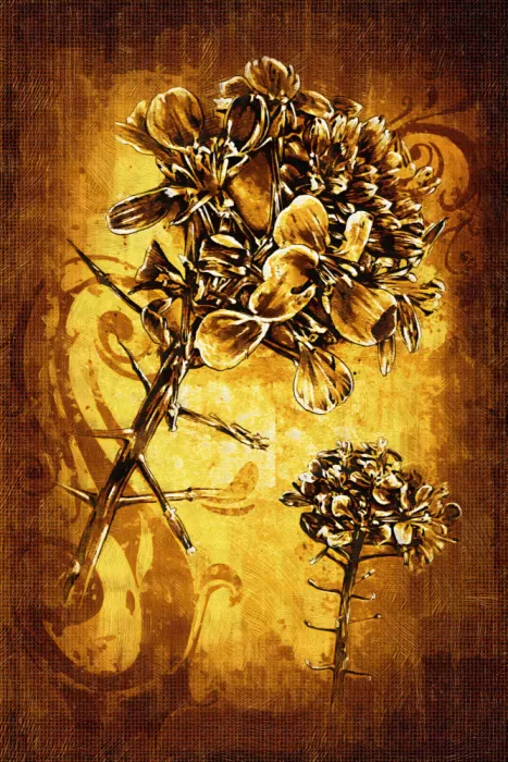 Kulik, Rafal: Sepia Illustration 76