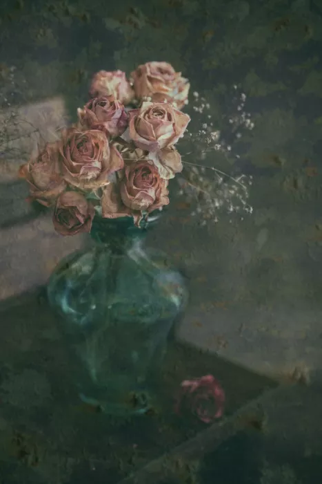 Hirai, Takiko: Rose