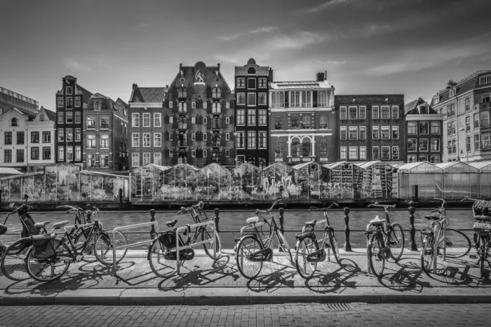 Viola, Melanie: AMSTERDAM Singel con Mercato dei Fiori