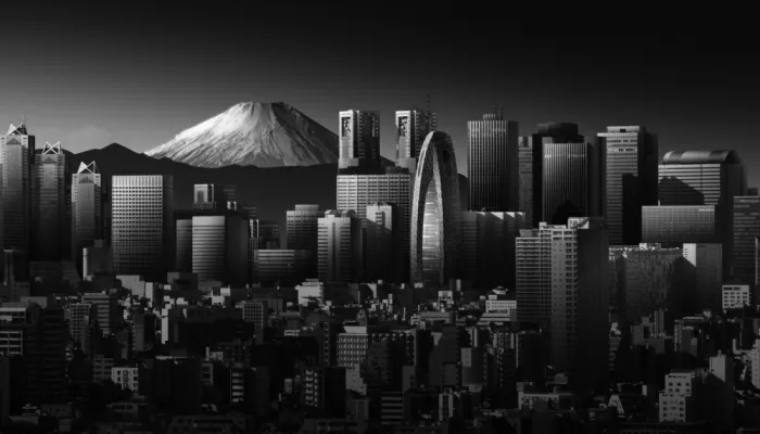 Liu, Shuchuan: Shinjuku