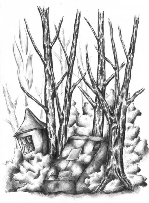 Kulik: Dibujo de naturaleza floral Boceto 47