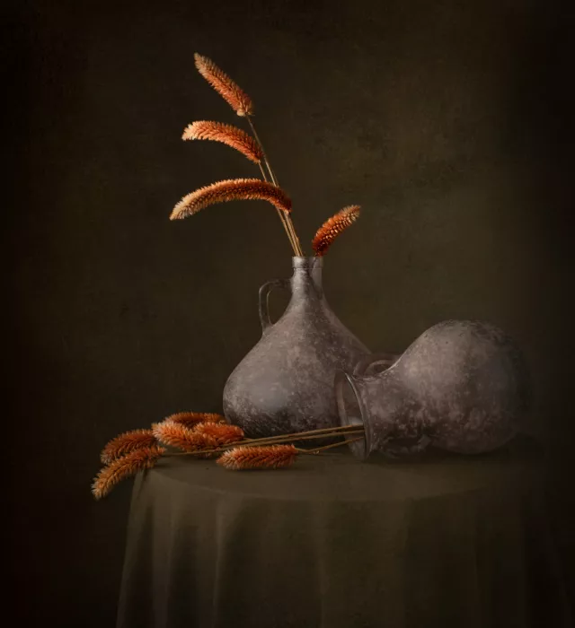 Perfoncio, Margareth: Thorns