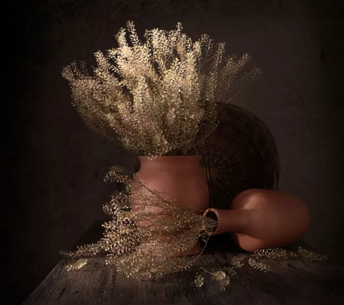 Perfoncio, Margareth: Light and shadow