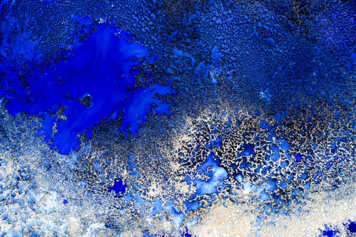 de, Meikle Petra: Ocean Best Sellers - Récif Ensoleillé