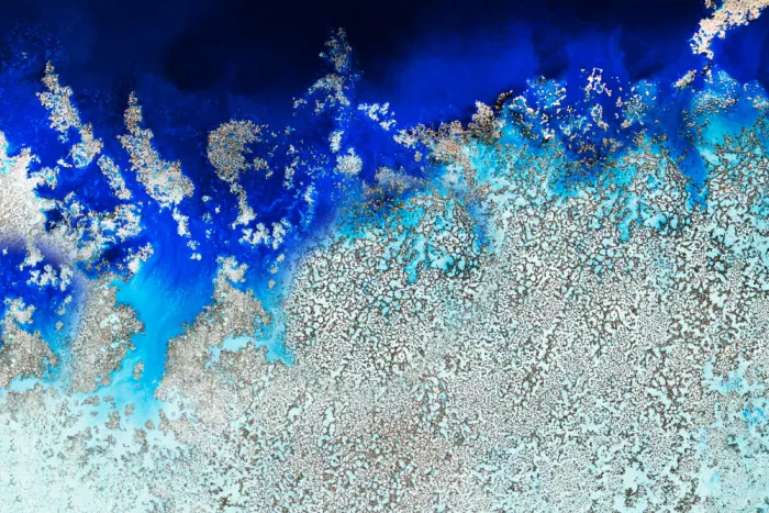 de, Meikle Petra: Océan aérien - Corail cosmique