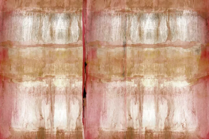cartissi: Estudio de color n.º 5