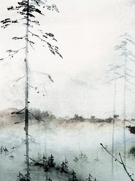 Treechild: Nebliger Wald Ruhe