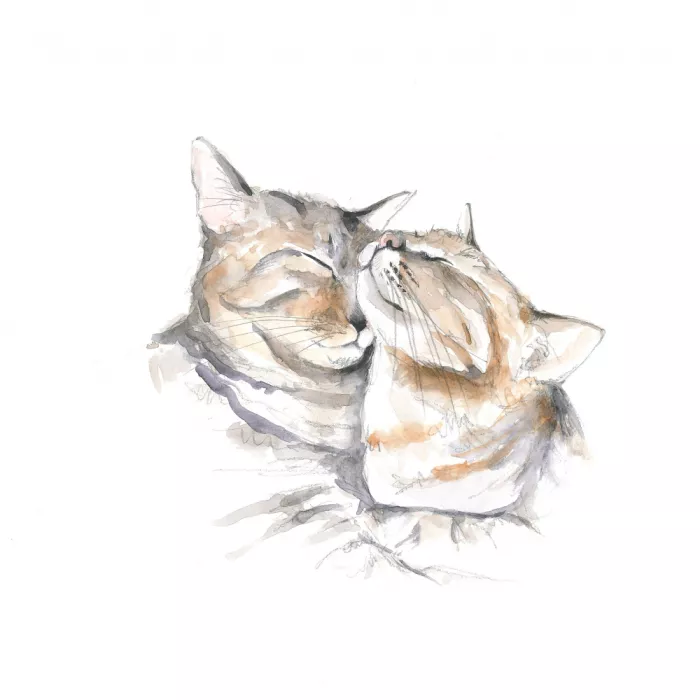 Brent, Isabelle: Gatos durmiendo