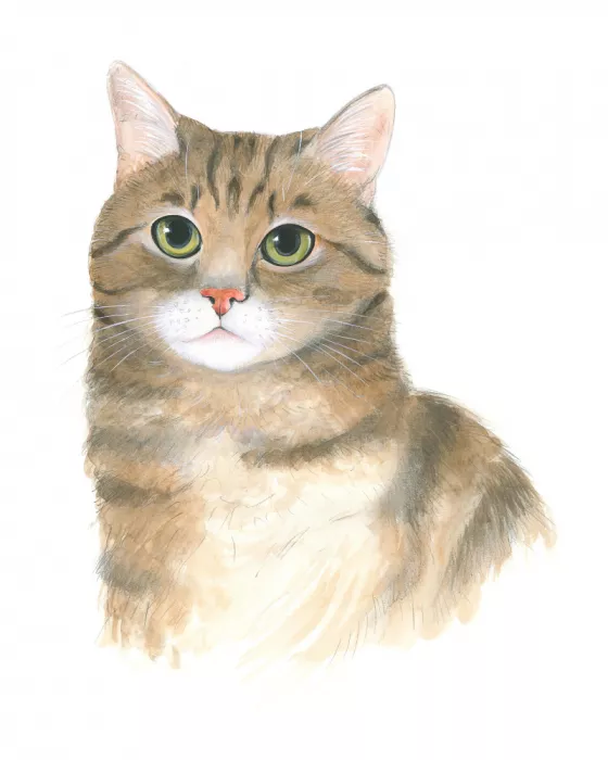 Brent, Isabelle: Gatita Platón