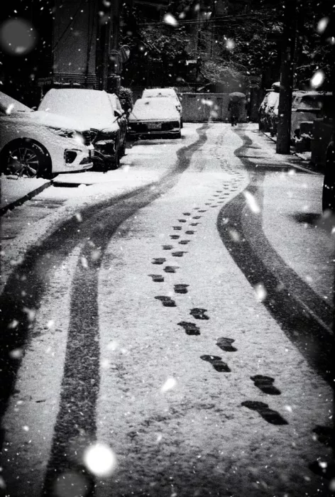 Choi, Young Mi: after it snows