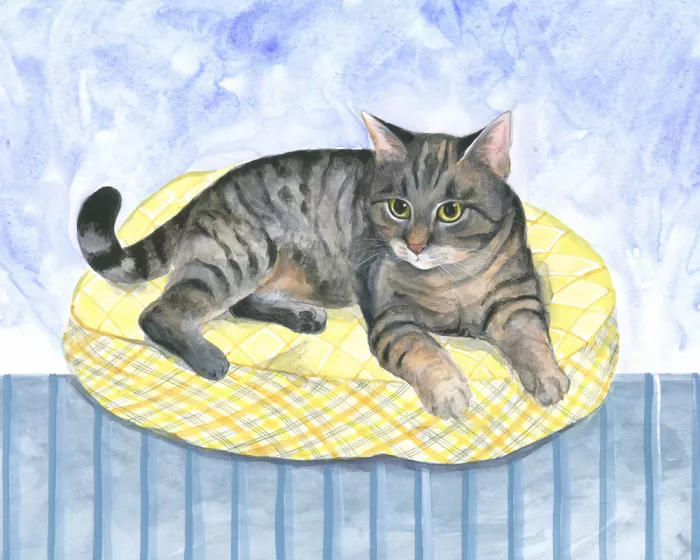 Brent, Isabelle: Gato Almohada