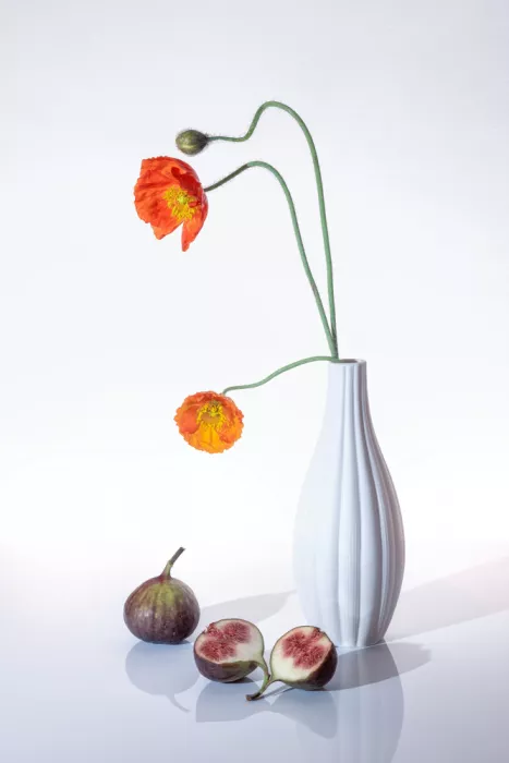 GaoSL: Flor y fruta