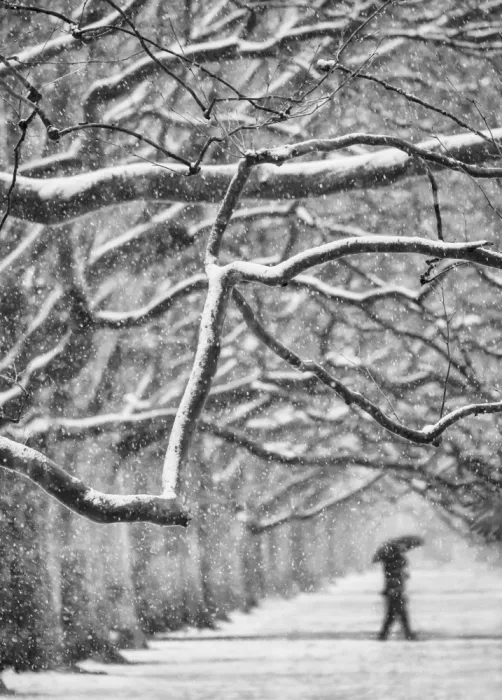 Niemiec, Anna: Première neige