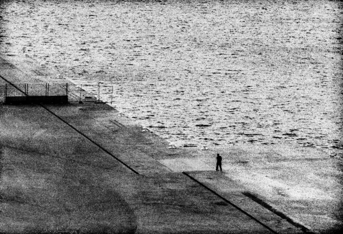 Abrantes, Paulo: Gris vide