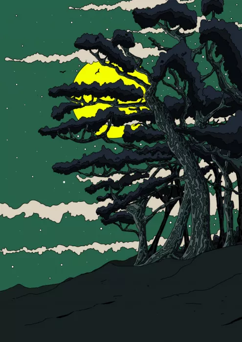 Nicholas: Pini al chiaro di luna