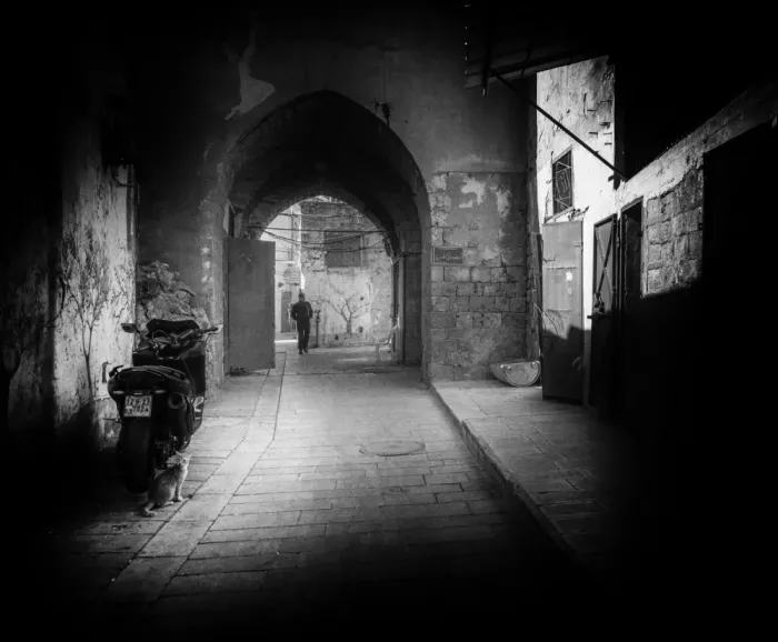 Babitz, Dani: Street