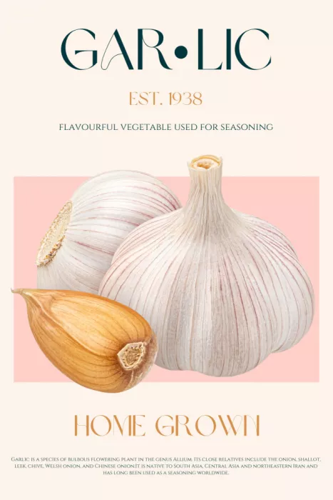Khokhar, Nazma: Knoblauch-Essenz