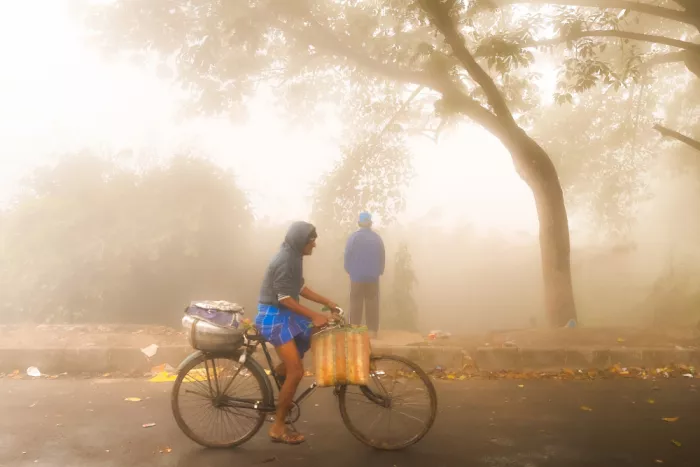 Das, Subhajit: Wintermorgen in Kolkata