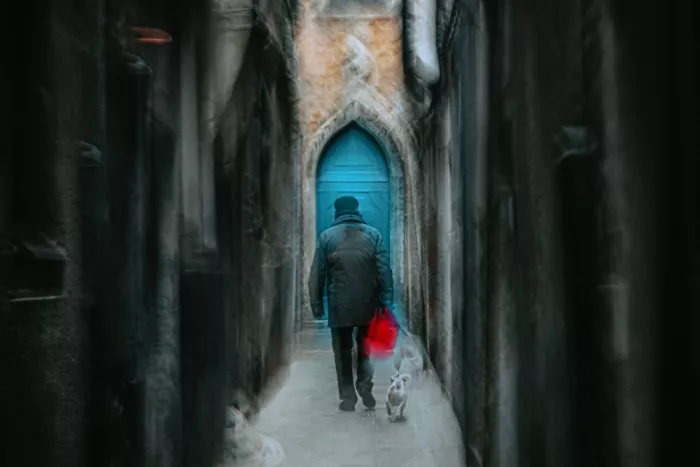 Sedevcic, Damijan: Puerta azul