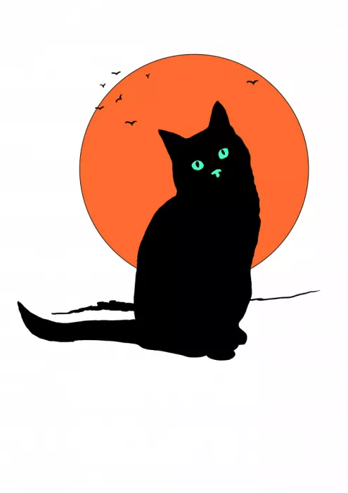 Nicholas: Gatto