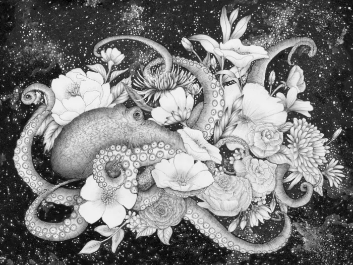 Mazur, EC: Kouzelný oceán chobotnic