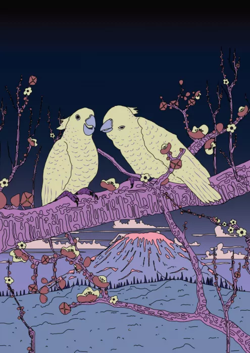 Nicholas: Uccelli Cacatua