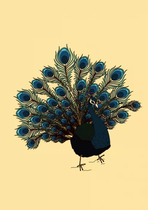Nicholas: Pavo Real