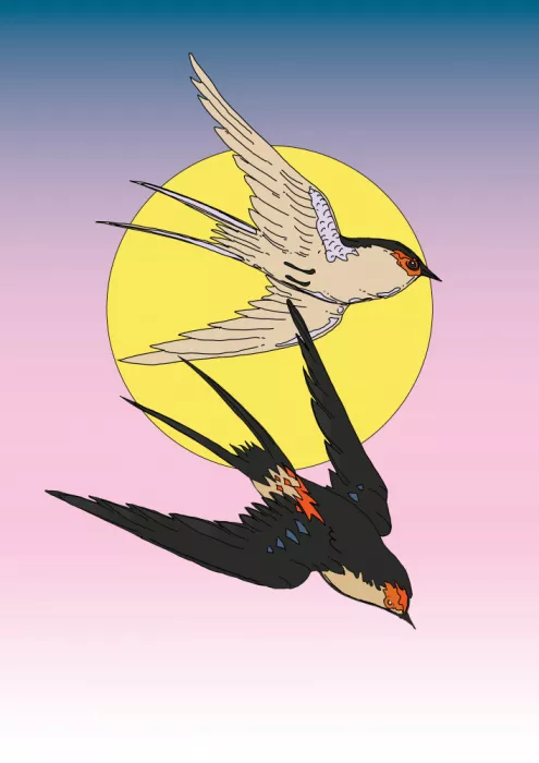 Nicholas: Schwalbenvögel